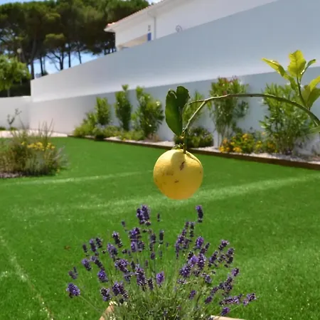 Neue Moderne Mit Privatem Pool * Famalicao